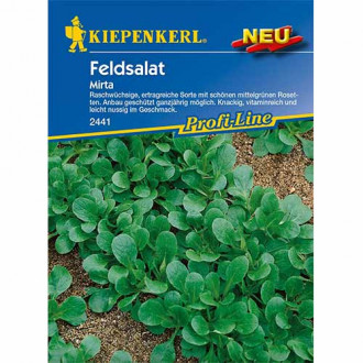 Feldsalat Favor F1 86039 samen Günstiger kaufen bei GradinaMax de