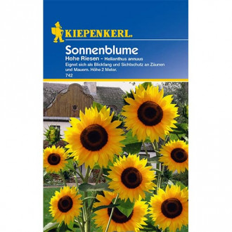 Sonnenblumen Sie können günstig und sicher einkaufen GradinaMax.de